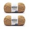 Bernat Forever Fleece Bergamot Yarn - 2 Pack of 280g/9.9oz - Polyester - 6 Super Bulky - 194 Yards - Knitting/Crochet